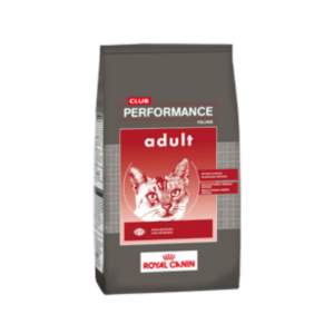 club-performance-cat-adult-gato-adulto_116.png