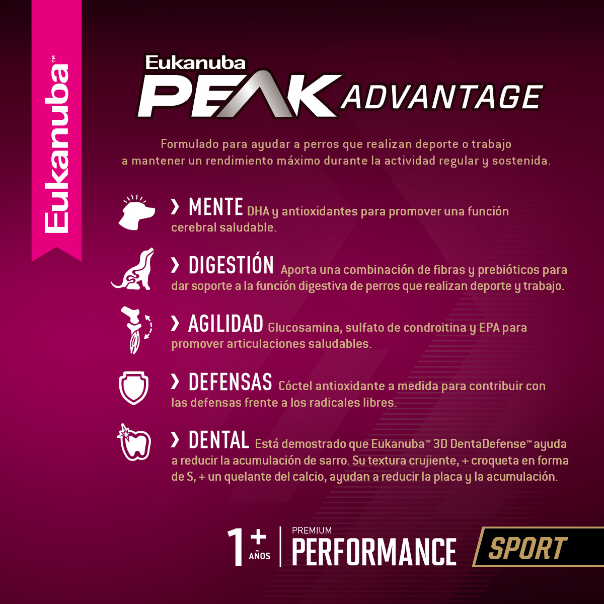 EUKANUBA-eCommerce_Performance-Adult_Sport